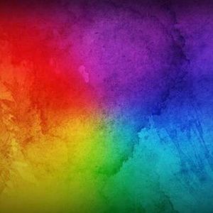 Meet your Posher, Kat